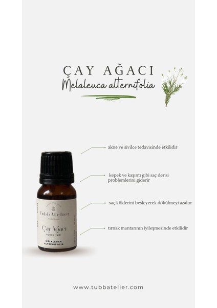 Çay Ağacı Uçucu Yağı Saf 10 ml
