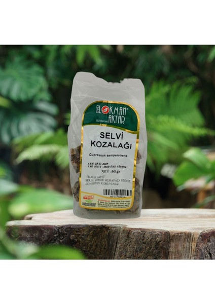 Selvi Kozalağı 60 gr