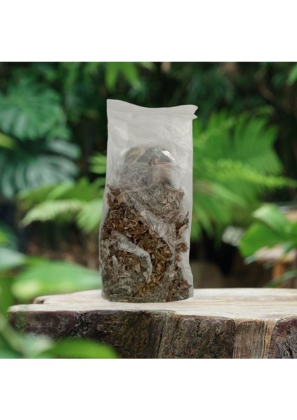 Enginar Yaprağı 30 gr
