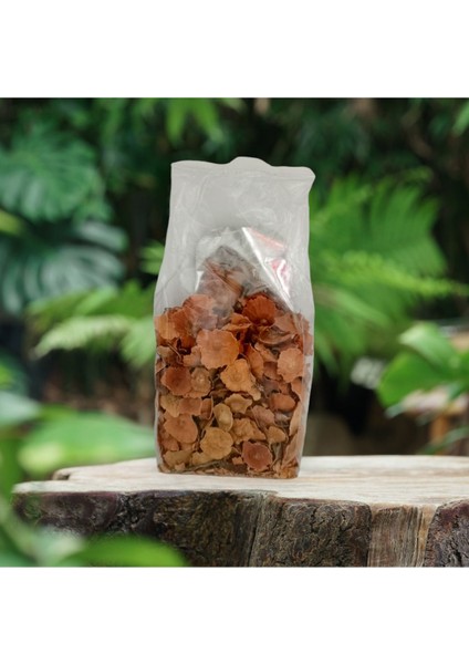 Deve Tabanı 50 gr