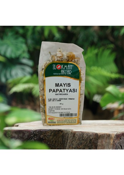 Mayıs Papatyası 40 gr