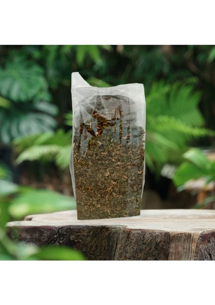 Mate Yaprağı 50 gr