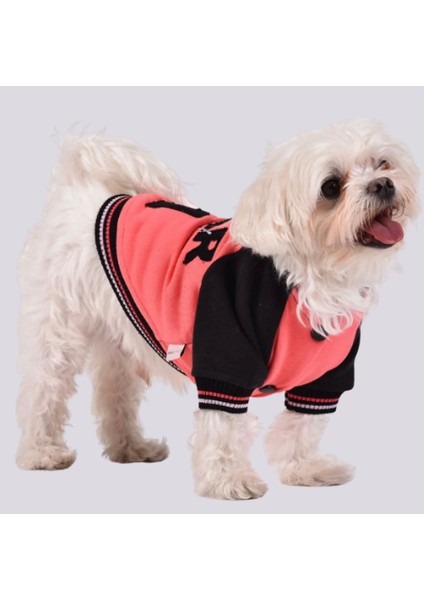Star Girl Polarlı Küçük Irk Köpek Sweatshirtü fiyatları