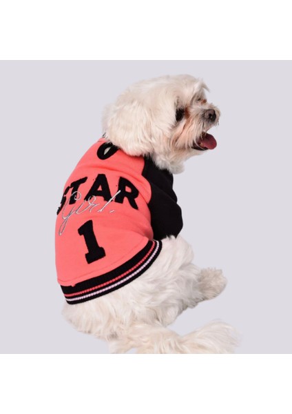 Star Girl Polarlı Küçük Irk Köpek Sweatshirtü