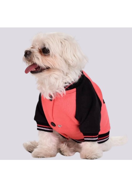 Star Girl Polarlı Küçük Irk Köpek Sweatshirtü