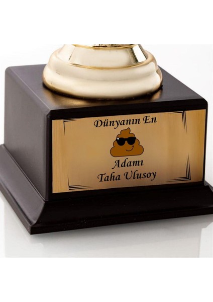 Kişiye Özel Dünyanın En Poo Tasarımlı Espirili Oskar Ödülü modelleri