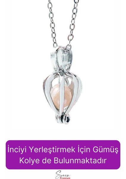 Özel Üretim Kutulu Istiridye Içinde Sevgiliye Anneye Gerçek Inci Kolye Hediye Kadın Aksesuar Seti