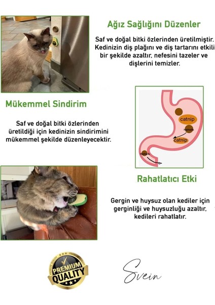 Doğal Avokado Kedi Nanesi Otu Topu Oyuncağı Yapışkanlı Yalama Sakinleştirici Catnip Yenilebilir Çimi