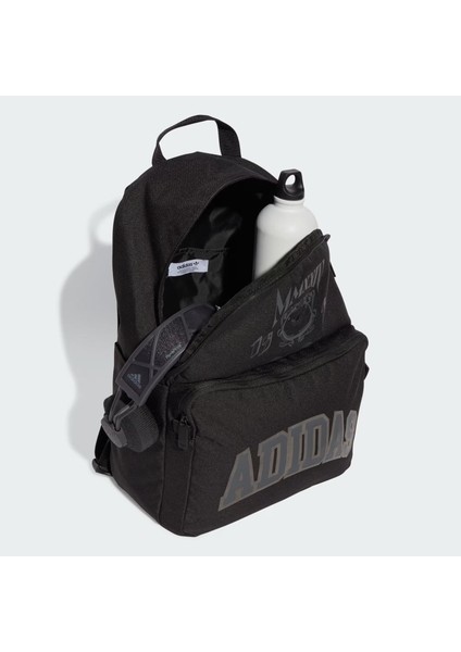 Varsity Sırt Çantası modelleri