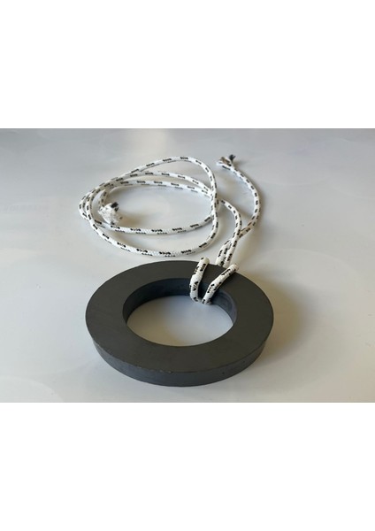 Inşaat Şantiye Çivi Vida Toplama Mıknatısı - Metal Toplayıcı Halatlı Güçlü Halka Mıknatıs 100 x 60 x 20 indirimleri