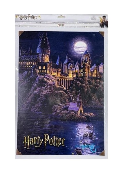 Harry Potter 35X50 Duvar Posteri - 1 Adet