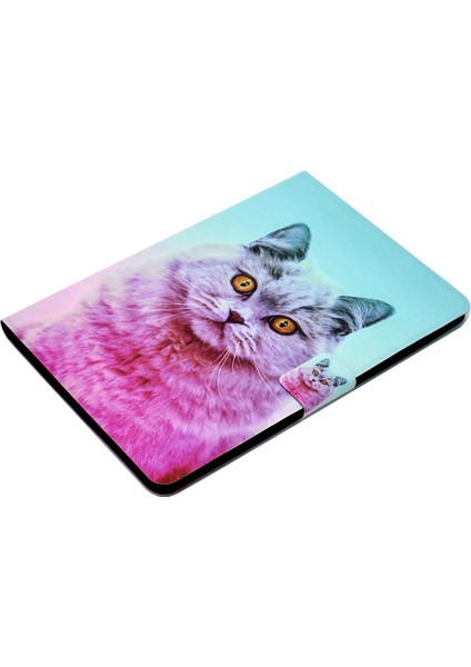 iPad Air (2013) AIR 2 Desenli Baskı Pu Deri Standlı Kart Yuvası Manyetik Toka Kedi Tablet Kılıfı (Yurt Dışından)