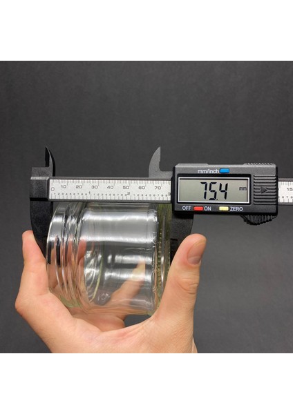 300 cc Cam Magnolia Kavanozu Kapaklı 10 Adet modelleri