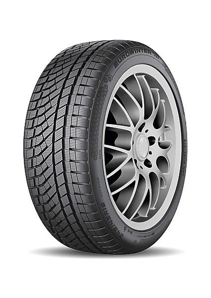 225/50 R17 98V Xl Eurowinter Hs02 Pro Oto Kış Lastiği ( Üretim Yılı: 2023 )
