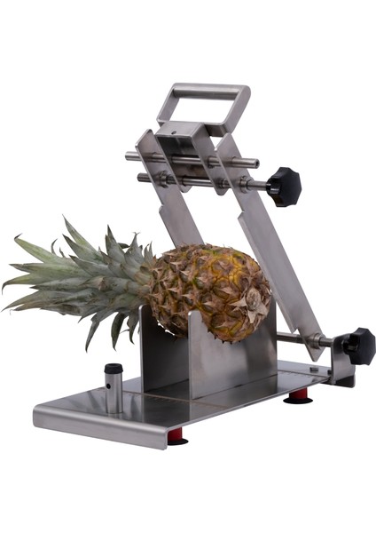 Ananas Giyotin
