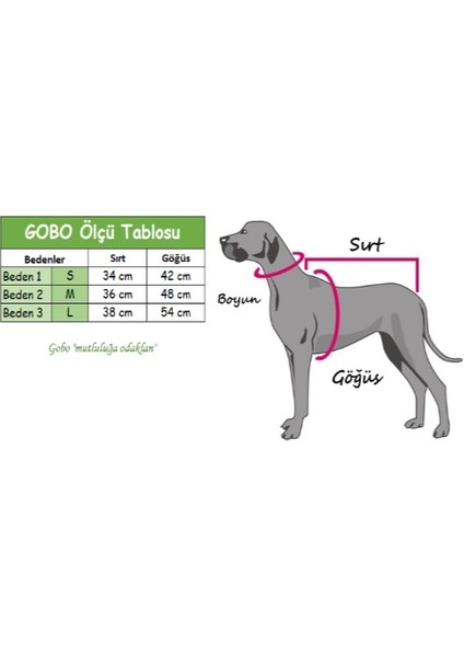 Kurdeleli Pembe Dişi Gömlek Kedi Köpek Kıyafeti Elbisesi