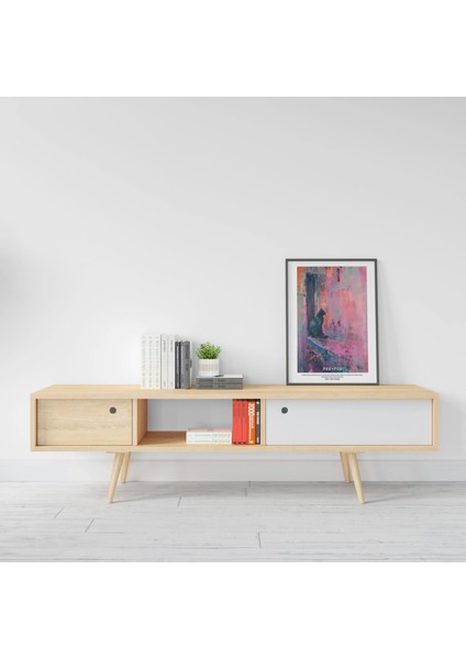 Kedi Illüstrasyon Baskı Tablo, Art Print Poster
