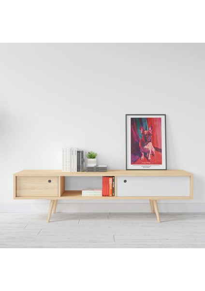 Renkli Köpek Resmi - Modern Duvar Dekorasyonu Çerçeveli Tablo