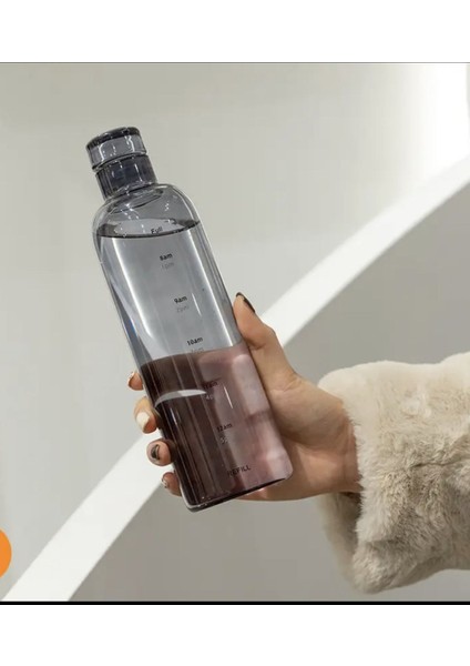 Tekno Trust 0,50 L Sağlıklı Cam Su Şişesi 500ML Motivasyonlu Sızdırmaz Matara Suluk Borosilikat Cam Beyaz Cam modelleri