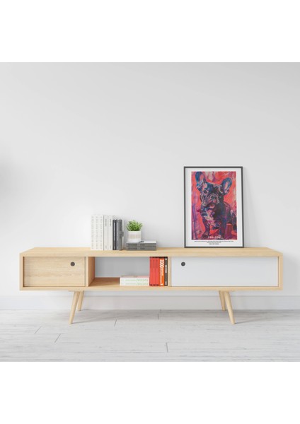 Modern Köpek Tasarımlı Dijital Baskı Tablo - Dekoratif Çerçeve Seçenekleri modelleri