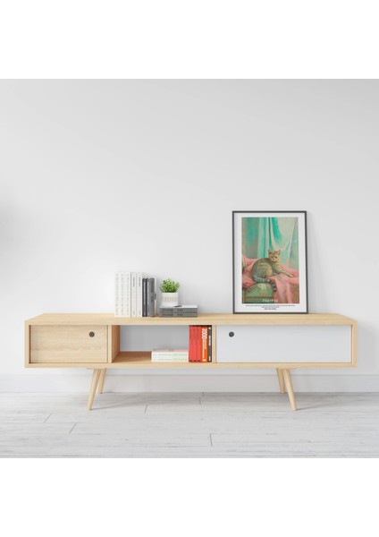Kedili Dijital Baskı Tablo - Modern Çerçeveli Duvar Posteri