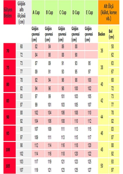 1490 Kadın Ekstra Dolgulu Sütyen-Siyah modelleri