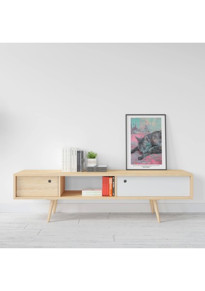 Renkli Kedi Illüstrasyonu - Çerçevesiz Poster ve Tablo Seçenekleri