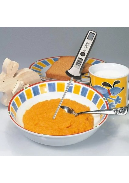 Dijital Termometre fiyatları