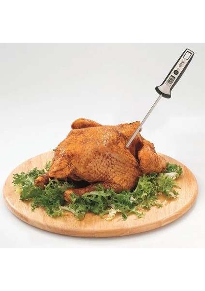 Dijital Termometre fırsatları