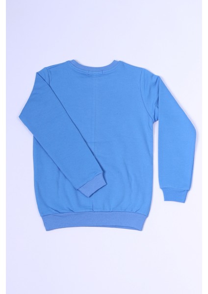 Erkek Çocuk Sweat Dinozor Baskılı Ribanalı C54 fiyatları