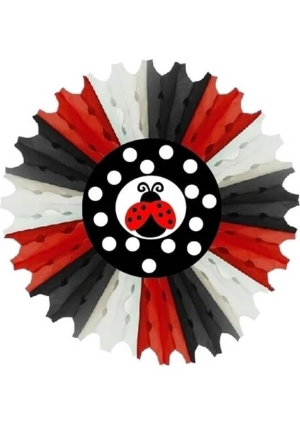 Uğur Böceği Çarkıfelek