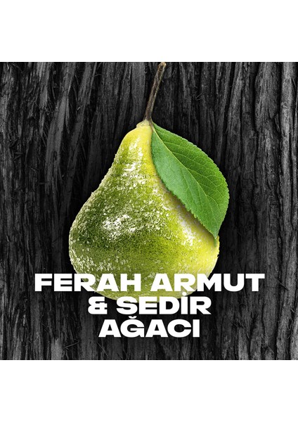 Erkek Stick Deodorant Black Ferah Armut ve Sedir Ağacı 50 ml X2