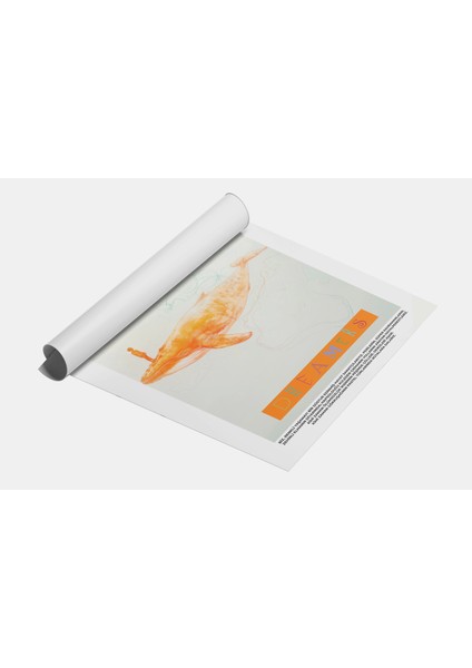 Dreamers No:3 Art Print fiyatları