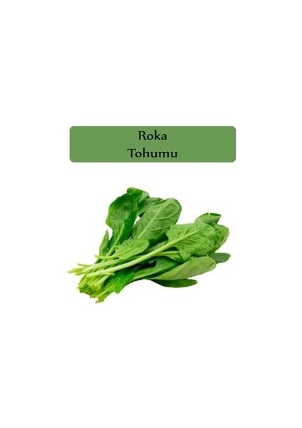 Roka Tohumu 1 Paket Kapalı Paket Yüksek Verimli Tohum Roka Bitki Tohumu