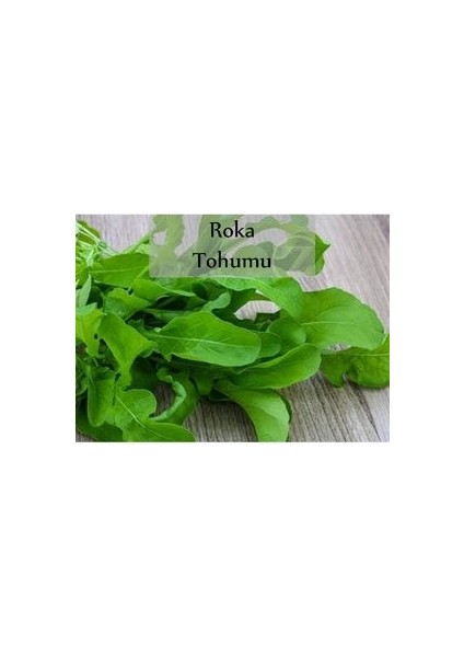 Roka Tohumu 1 Paket Kapalı Paket Yüksek Verimli Tohum Roka Bitki Tohumu fiyatları