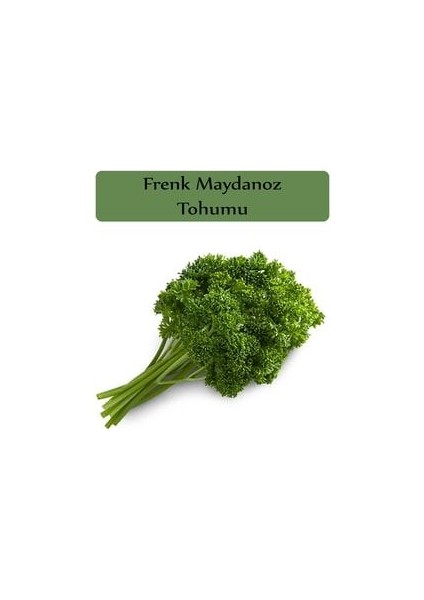 Kıvırcık Frenk Maydanoz Tohumu 1 Paket 10 Gr. Frenk Maydanozu Yüksek Verimli Paket Tohum fiyatları