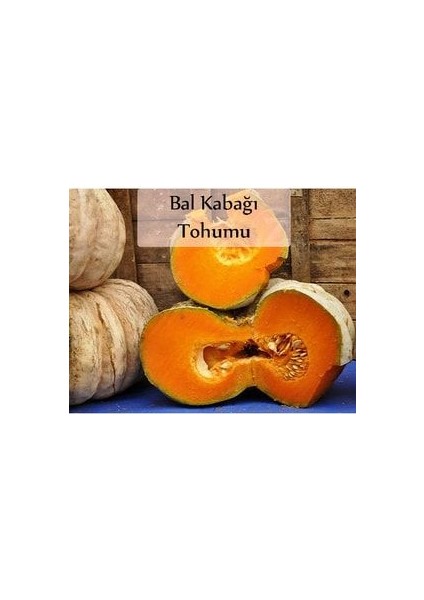 Bal Kabağı Tohumu 1 Paket Kabak Tohumu Kapalı Paket Tohum Ekmek Için Verimli Bal Kabağı fiyatları