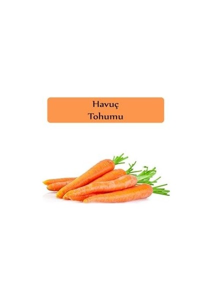 Havuç Tohumu 1 Paket Nantes Havuç Tohumu Kapalı Paket Yüksek Verimli Tohum Carrot