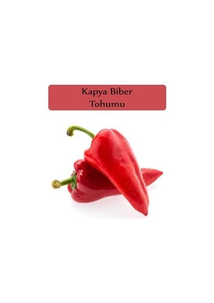 Kapya Biber Tohumu 1 Paket Yağlık Kapya Biber Tohumu Kapalı Paket Yüksek Verimli Tohum