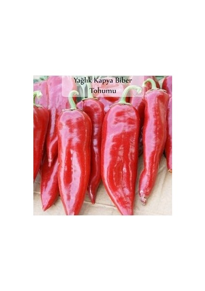 Kapya Biber Tohumu 1 Paket Yağlık Kapya Biber Tohumu Kapalı Paket Yüksek Verimli Tohum fiyatları
