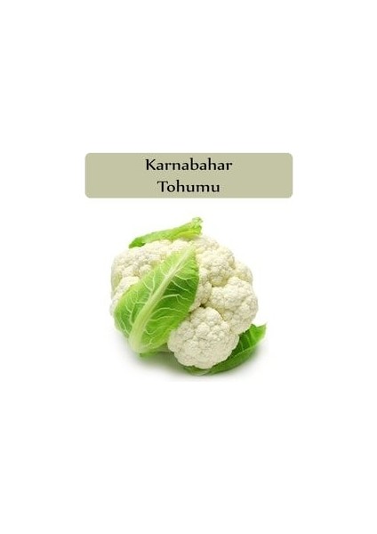 Karnabahar Tohumu 1 Paket Karnıbahar Tohumu Kapalı Paket Yüksek Verimli Tohum Karna Bahar Tohumu
