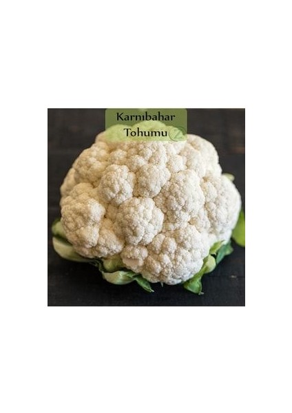 Karnabahar Tohumu 1 Paket Karnıbahar Tohumu Kapalı Paket Yüksek Verimli Tohum Karna Bahar Tohumu fiyatları