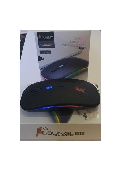 Şarjlı Kablosuz Mouse Sessiz 2.4 Ghz USB Wireless 800-1200-1600 Ayarlanabilir Dpi LED Işıklı Slient