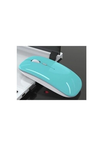 Şarjlı Kablosuz Mouse 2.4 Ghz 1600DPI E-1300 Turkuaz