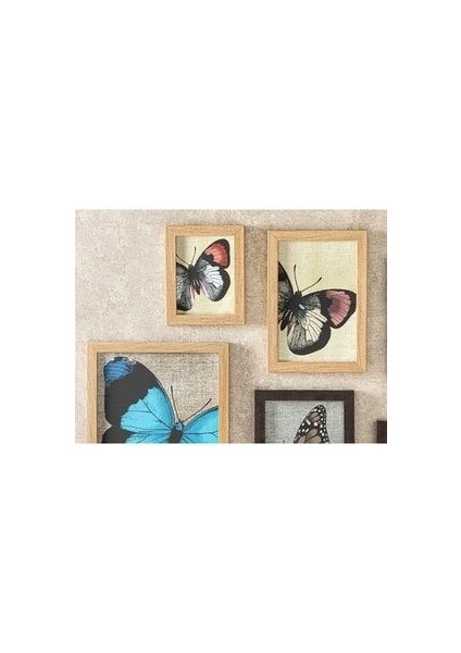 Butterfly 6'lı Tablo 20X30CM+16X21+30X40 cm Kahve