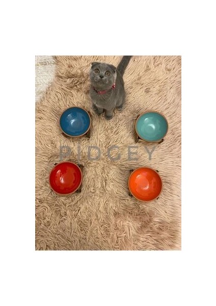 2'li Ahşap Ayaklı Çömlek Kedi-Köpek Mama Kabı fiyatları