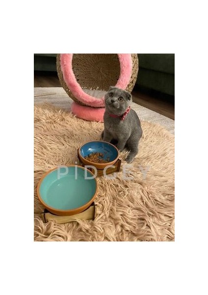 2'li Ahşap Ayaklı Çömlek Kedi-Köpek Mama Kabı fırsatları