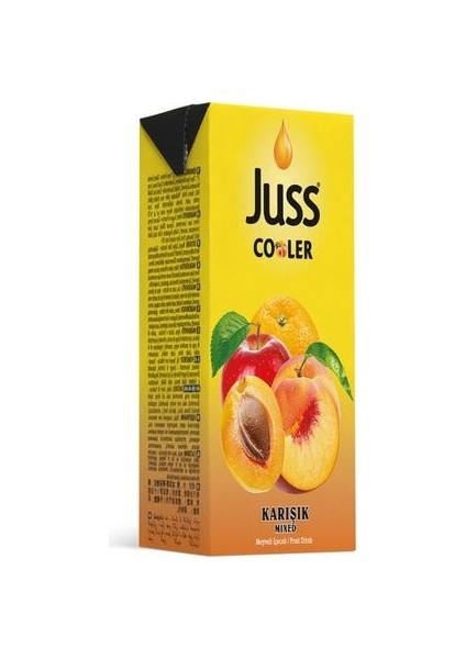 Cooler Karışık Meyve Suyu 200 ml x 27 Adet