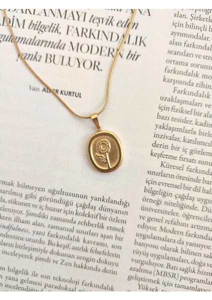 Kadın Paslanmaz Çelik Oval Otantik Gül Kolye fiyatları