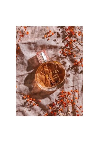 Lcw Accessorıes Etriel Blonde Kadın Edp Parfüm 50 ml fiyatları